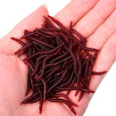 Minhoca Artificial Para Pesca